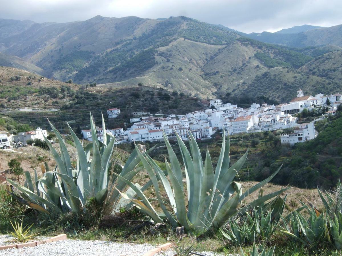 فيلا Casa Siete Arcos Sedella المظهر الخارجي الصورة